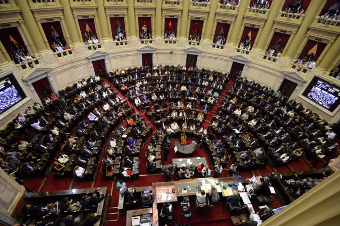 Quiénes son los 71 diputados que firman el proyecto de despenalización del aborto