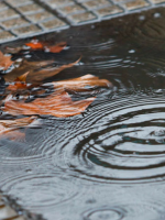 Esta tarde pueden volver las lluvias