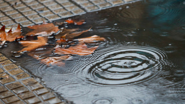 imagen Esta tarde pueden volver las lluvias