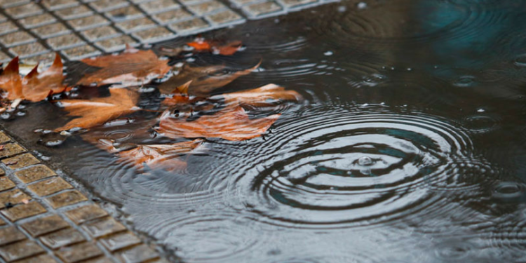 Esta tarde pueden volver las lluvias