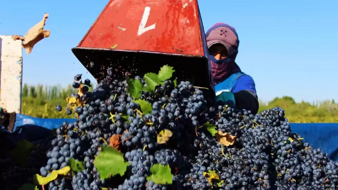 Sergio Massa anunció un "dólar agro" a $300 para la soja y las economías regionales