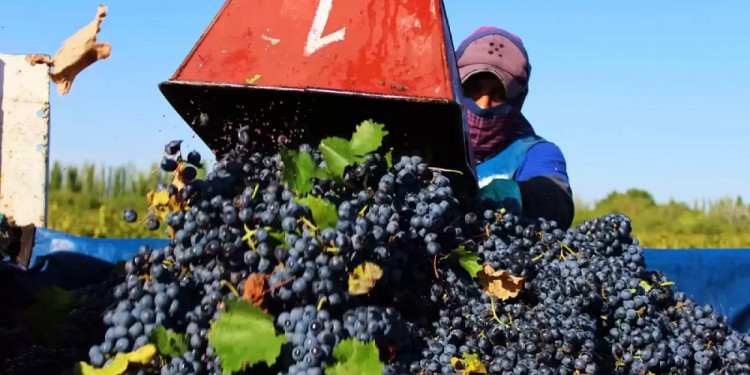 Sergio Massa anunció un "dólar agro" a $300 para la soja y las economías regionales