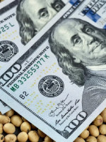 Implementan el nuevo dólar soja con el objetivo de reforzar las reservas