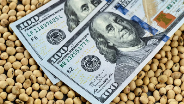 imagen Implementan el nuevo dólar soja con el objetivo de reforzar las reservas