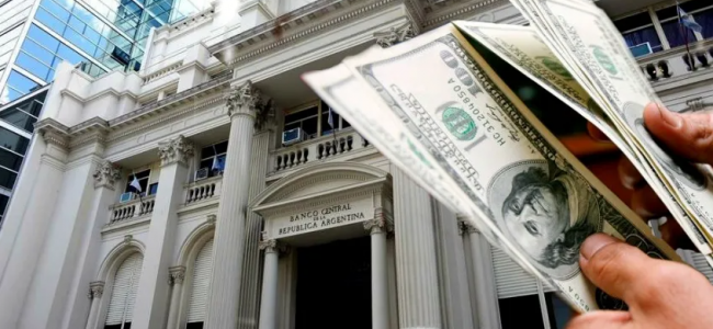 Dólar ahorro: el Banco Central evalúa prohibir su compra a quienes reciban subsidios energéticos