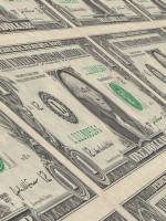 El dólar gana 14 centavos y alcanza un nuevo récord: $ 17,60