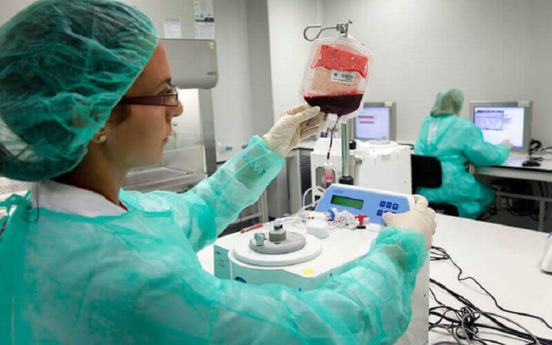 Donar sangre de cordón umbilical, clave para tratar enfermedades 