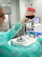 Donar sangre de cordón umbilical, clave para tratar enfermedades 