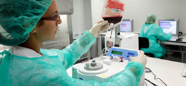 Donar sangre de cordón umbilical, clave para tratar enfermedades 