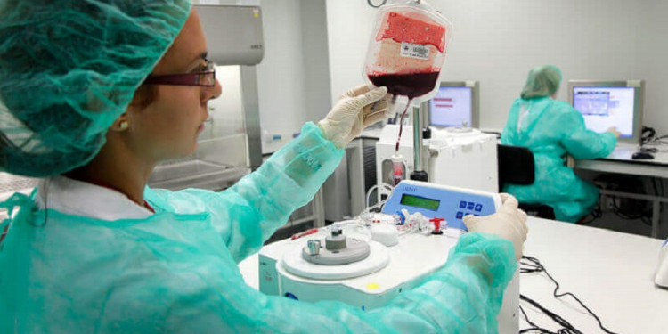 Donar sangre de cordón umbilical, clave para tratar enfermedades 