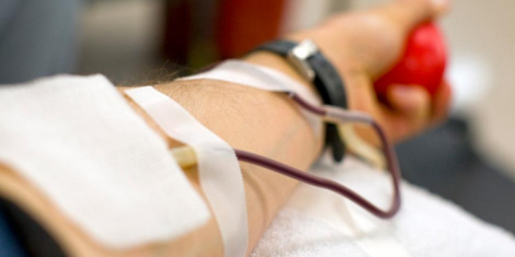 Estiman un aumento de donantes voluntarios de sangre