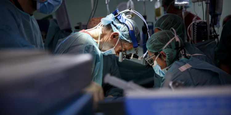 Holanda convirtió a todos sus ciudadanos en donantes de órganos