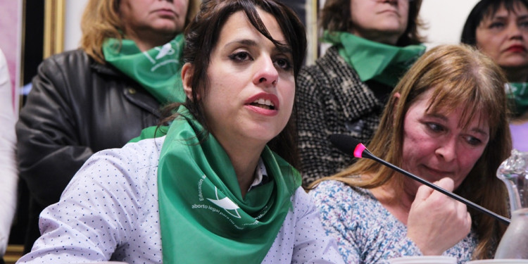 Aborto: se cae la sesión especial del #8M y el debate podría llevar unos dos meses