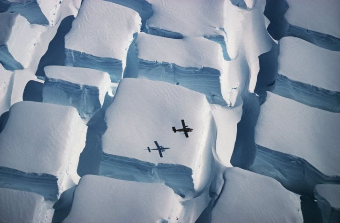 Las mejores fotografías científicas del año, según la Royal Society