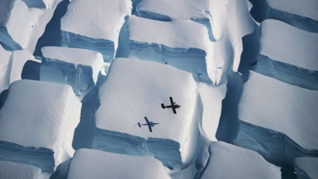 imagen Las mejores fotografías científicas del año, según la Royal Society