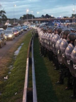 Cresta roja a quiebra: entre palos y subsidios