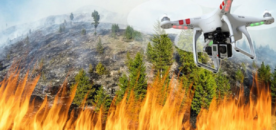 Incendios forestales: ¿serán los drones los futuros guardabosques?