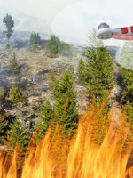 Incendios forestales: ¿serán los drones los futuros guardabosques?