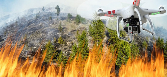 Incendios forestales: ¿serán los drones los futuros guardabosques?