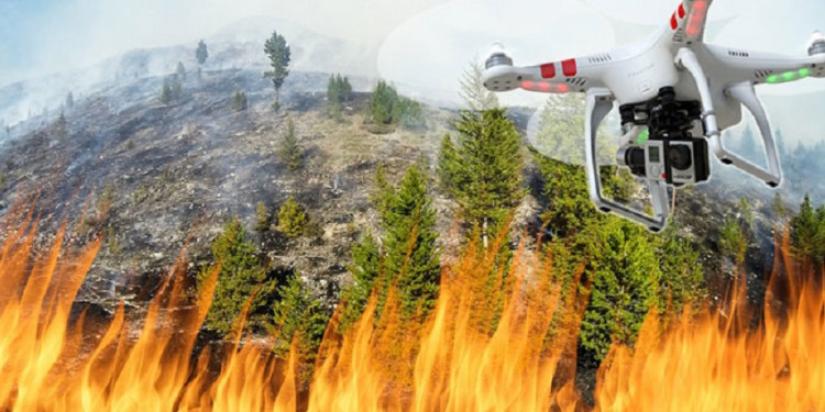 Incendios forestales: ¿serán los drones los futuros guardabosques?