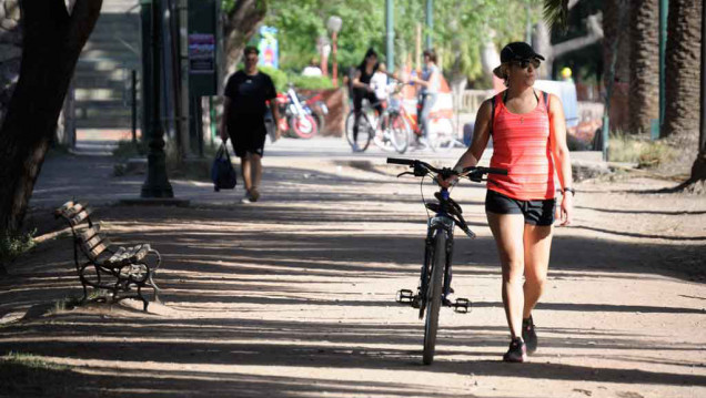 imagen Atletas del parque