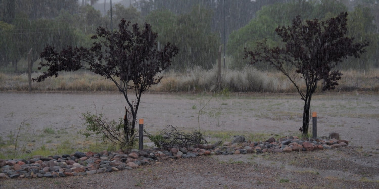 Alerta meteorológico: se espera un fin de semana lluvioso