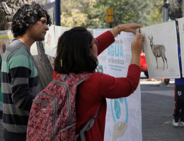 imagen Becarios despedidos instalan la feria frente a la legislatura. FOTO: Victoria Gaitán