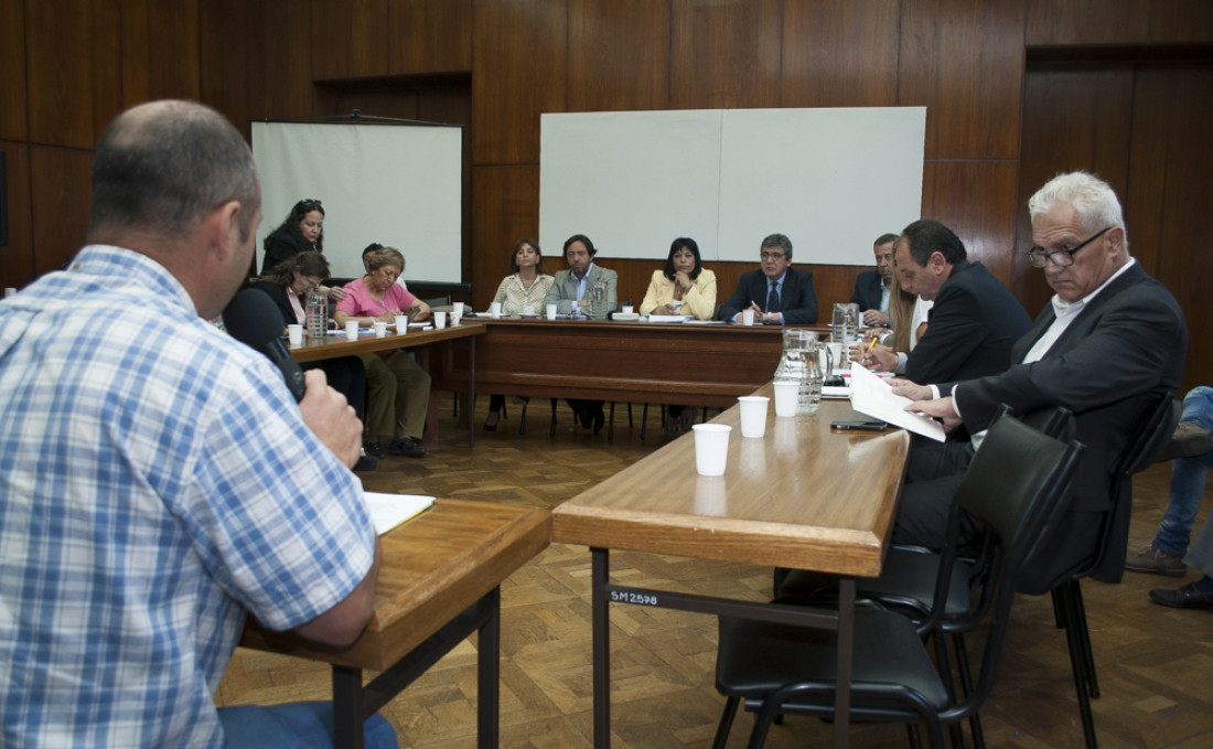 Debate minero: la voz de las organizaciones contra Hierro Indio