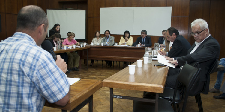 Debate minero: la voz de las organizaciones contra Hierro Indio