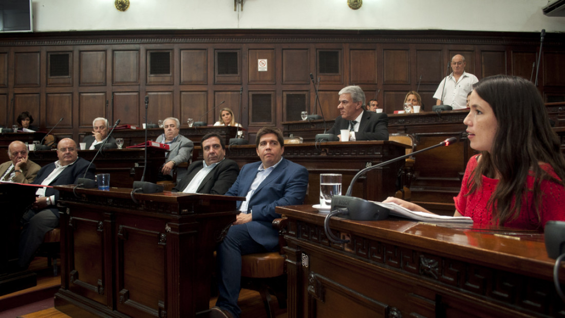 Sin despeinarse, los senadores aprobaron el financiamiento para las PASO