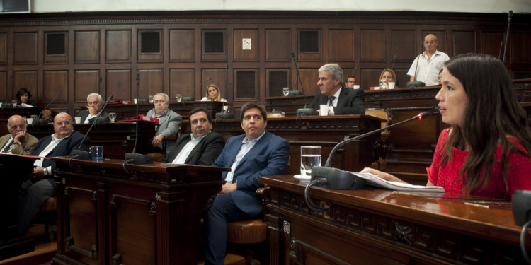 Sin despeinarse, los senadores aprobaron el financiamiento para las PASO