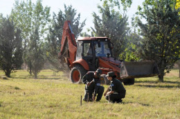 imagen Gendarmería trabaja junto al operativo.