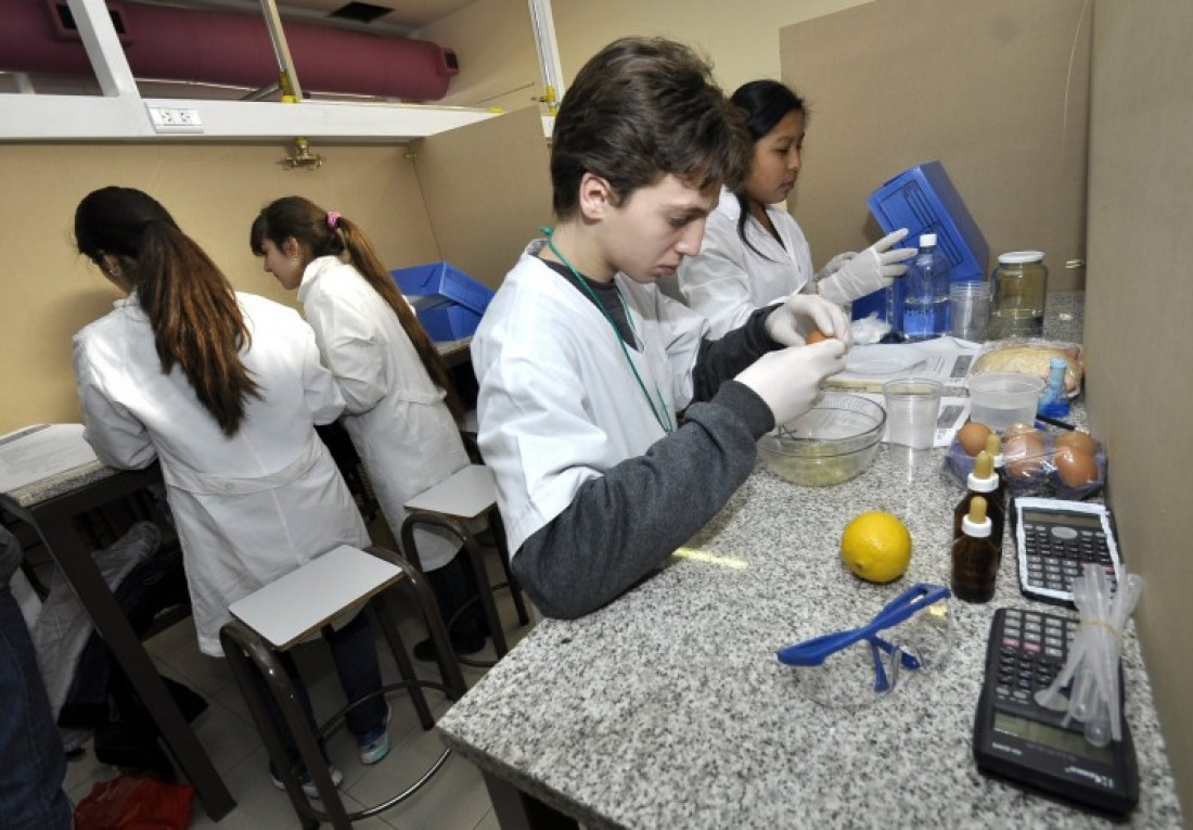 Estudiantes de todo el país participan de la Olimpíada de Ciencias Junior‏
