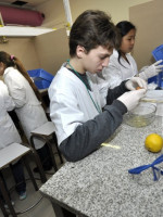 Estudiantes de todo el país participan de la Olimpíada de Ciencias Junior‏
