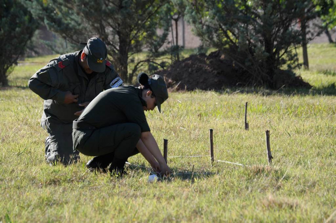 En imágenes: los trabajos de excavación en el Próvolo