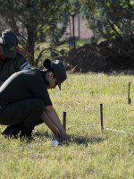 En imágenes: los trabajos de excavación en el Próvolo