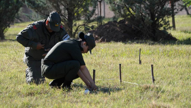 imagen En imágenes: los trabajos de excavación en el Próvolo