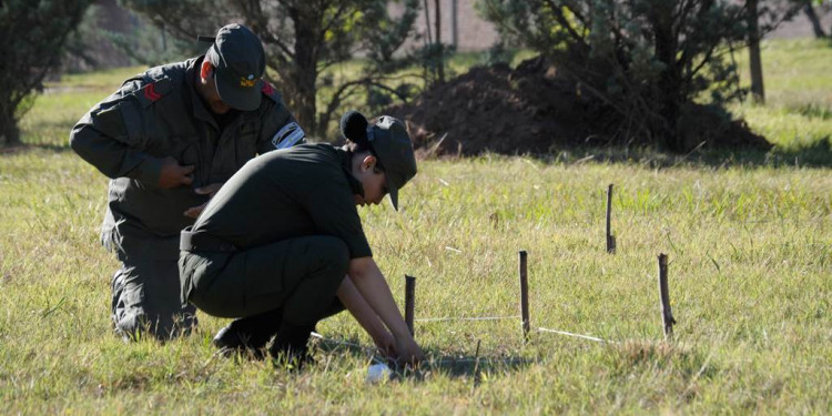 En imágenes: los trabajos de excavación en el Próvolo