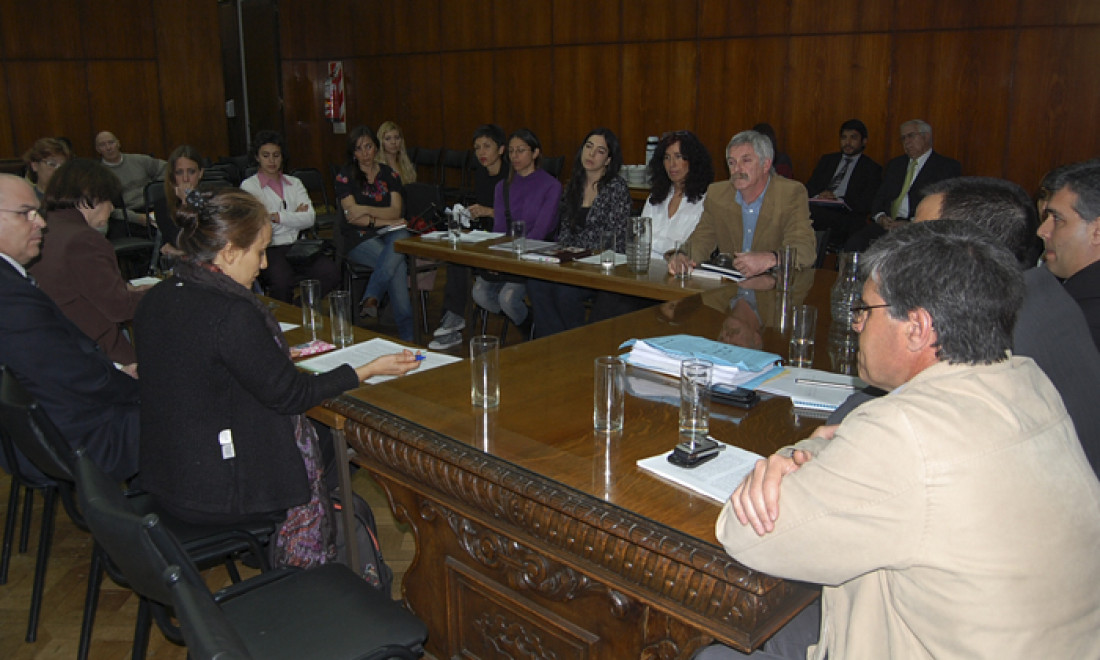 El senado debate el protocolo del aborto no punible