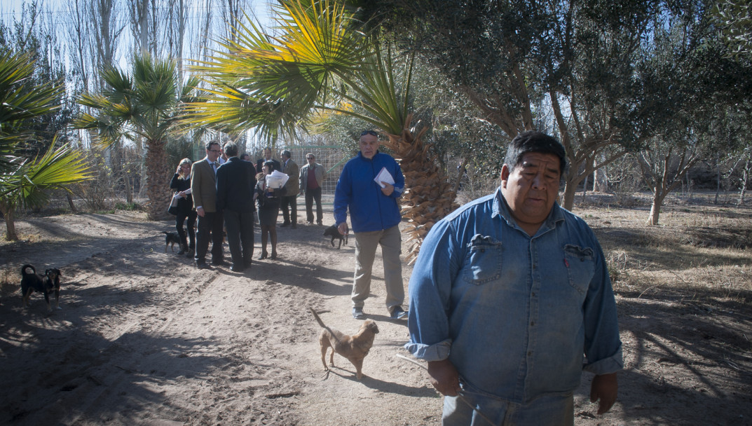 imagen Los últimos pasos de Soledad Olivera