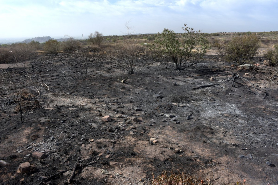 imagen Imágenes: tarea contrarreloj para apagar los incendios