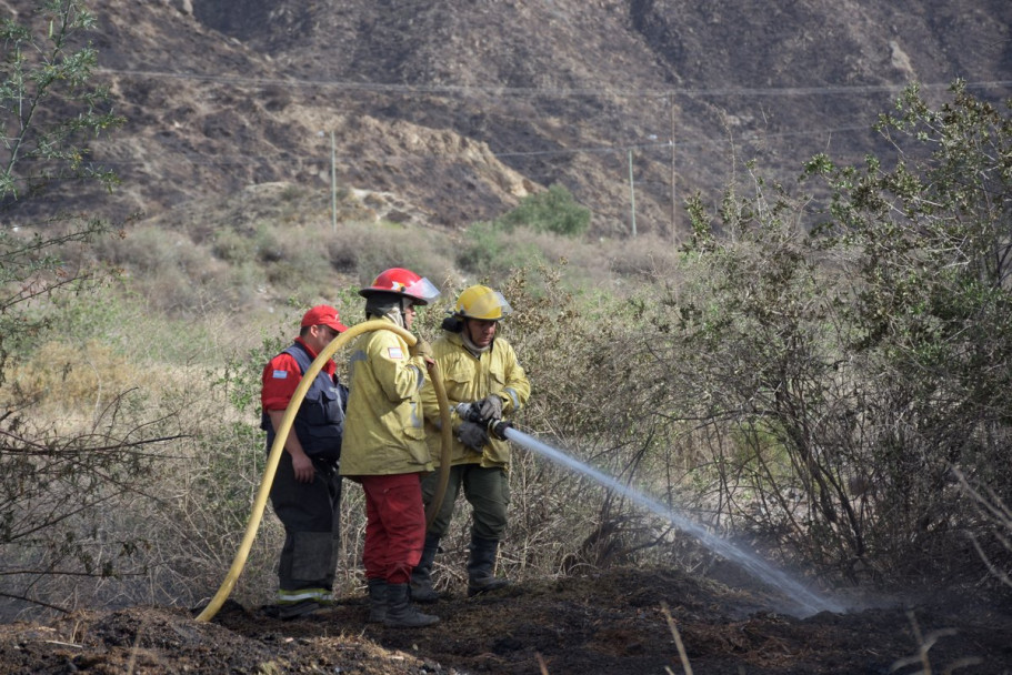 imagen Imágenes: tarea contrarreloj para apagar los incendios