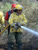 Imágenes: tarea contrarreloj para apagar los incendios