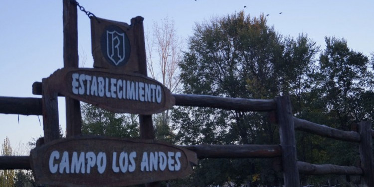 La Nación insiste con la venta de terrenos de La Remonta