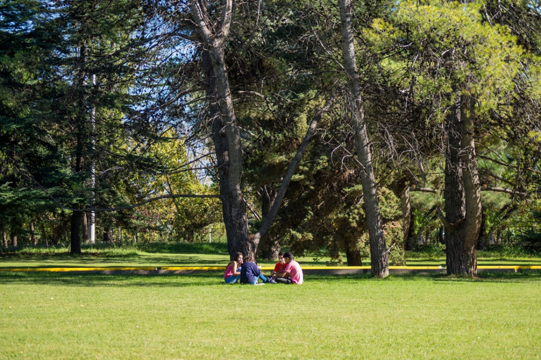 Escuelas de Luján celebraron el Día del Árbol en Ciencias Agrarias