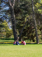 Escuelas de Luján celebraron el Día del Árbol en Ciencias Agrarias