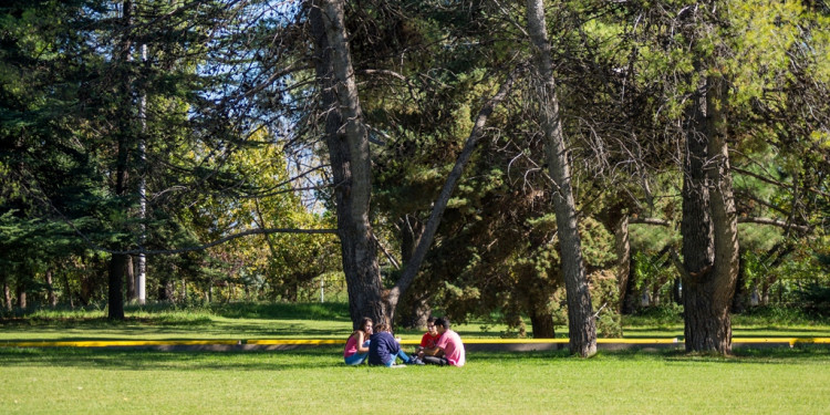 Escuelas de Luján celebraron el Día del Árbol en Ciencias Agrarias