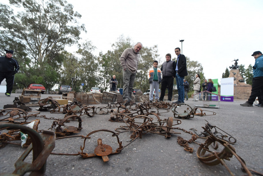 imagen Liberaron 60 aves