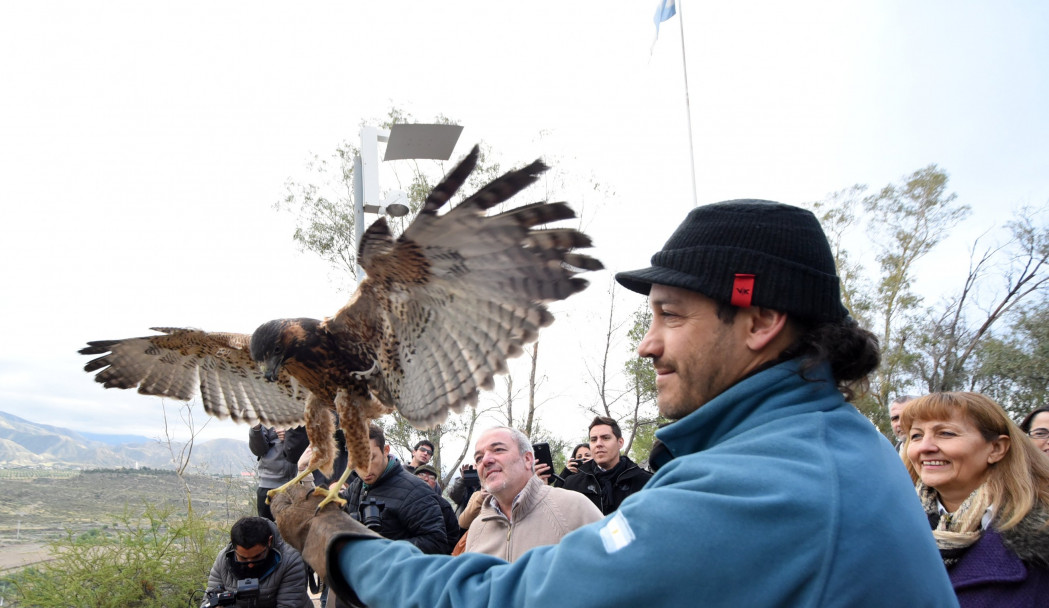 imagen Liberaron 60 aves