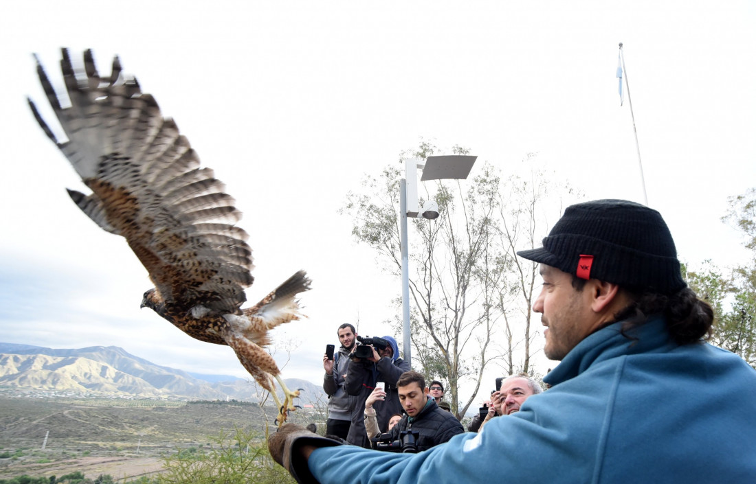 Liberaron 60 aves